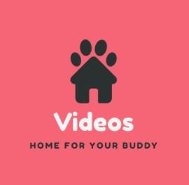Yandex Anak Indonesia Bokep-indo